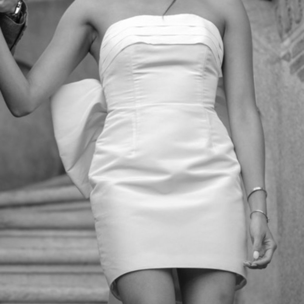 Alexia Maria Margaret Dress in White Size 0/2